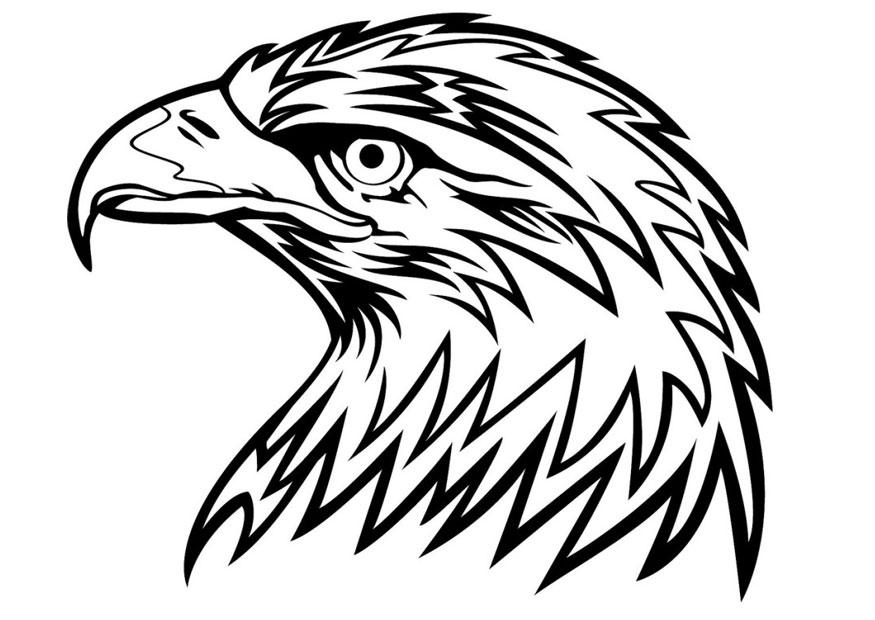 A¶rn Målarbild A¶rn