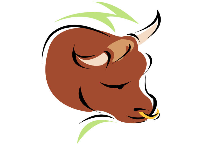 oxen bild oxen