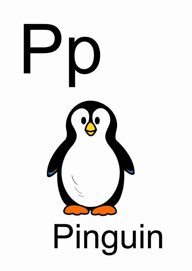 p bild p