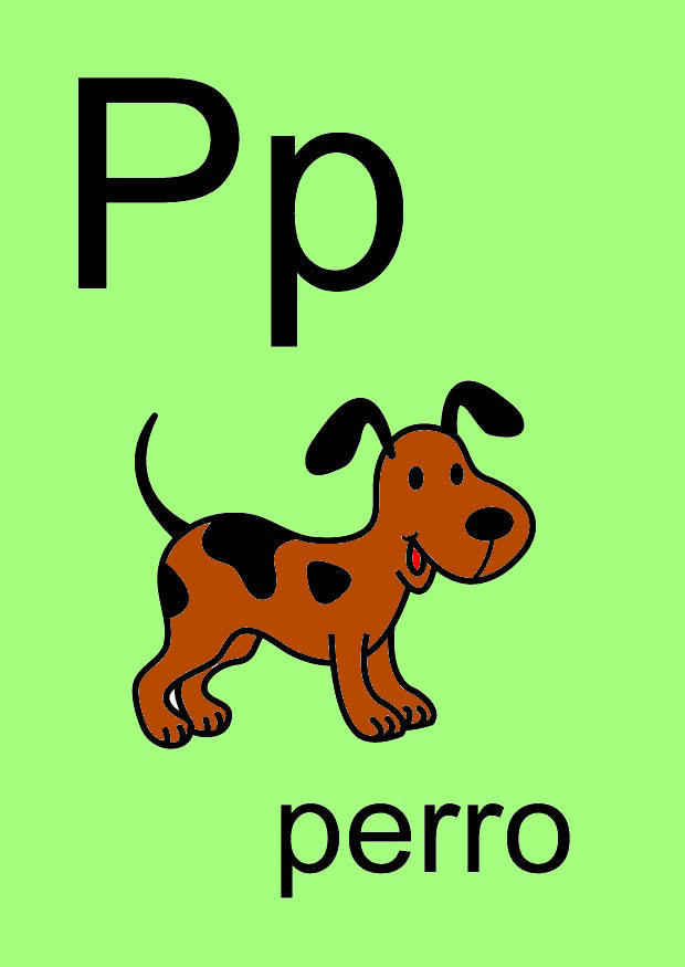 p bild p