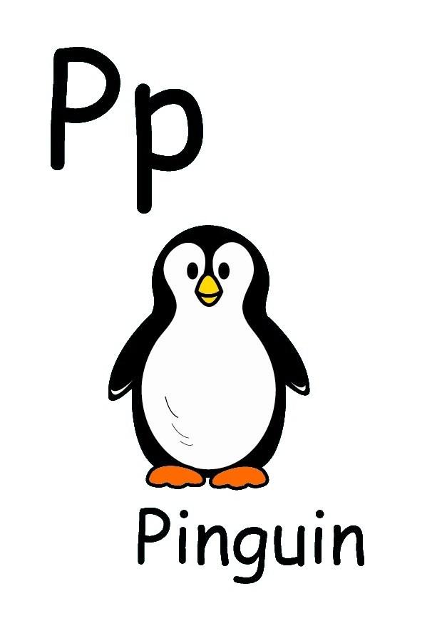 p bild p