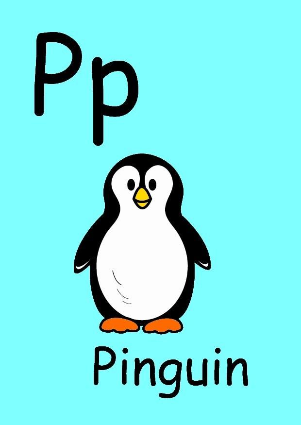 p bild p