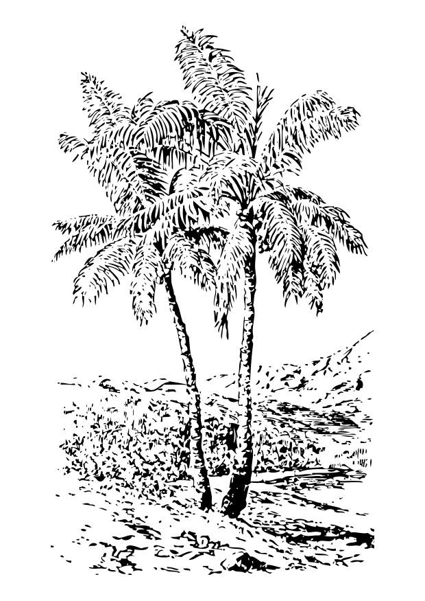 Målarbild palm
