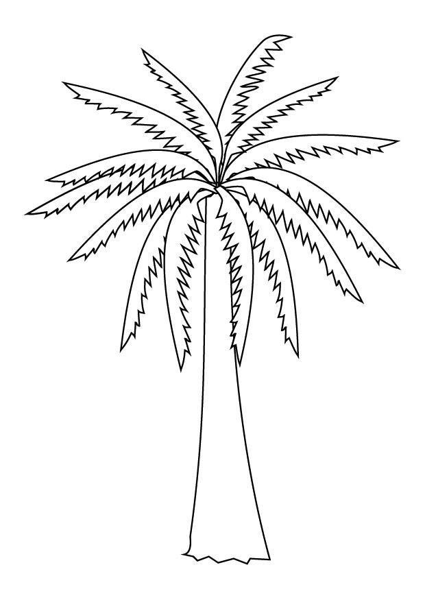 palm Målarbild palm