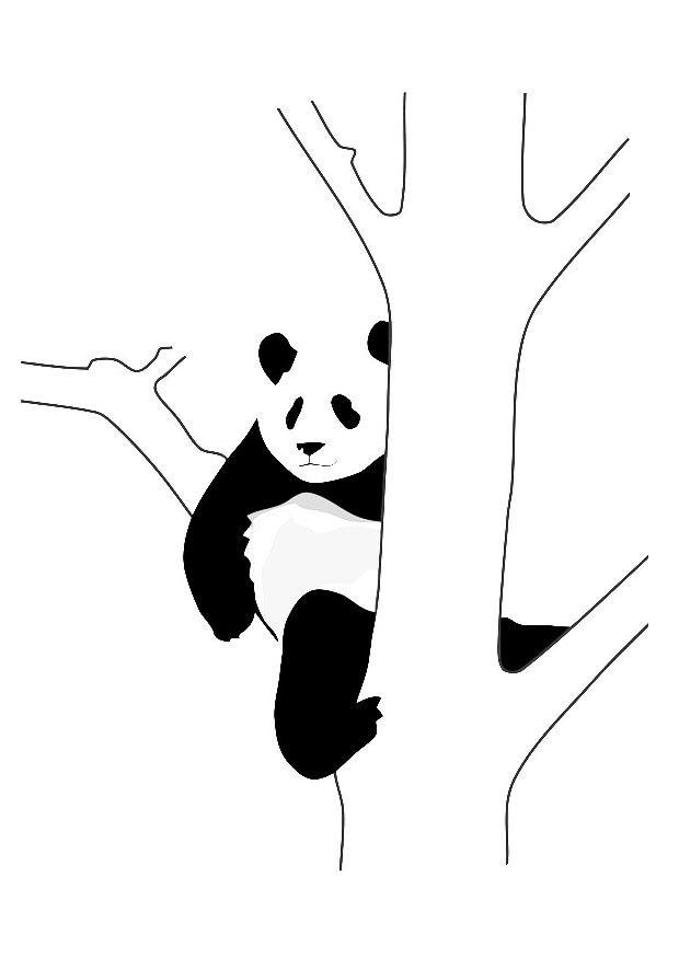 panda i trA¤d Målarbild panda i trA¤d