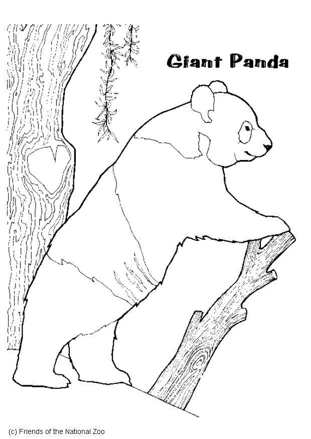 pandabjA¶rn Målarbild pandabjA¶rn
