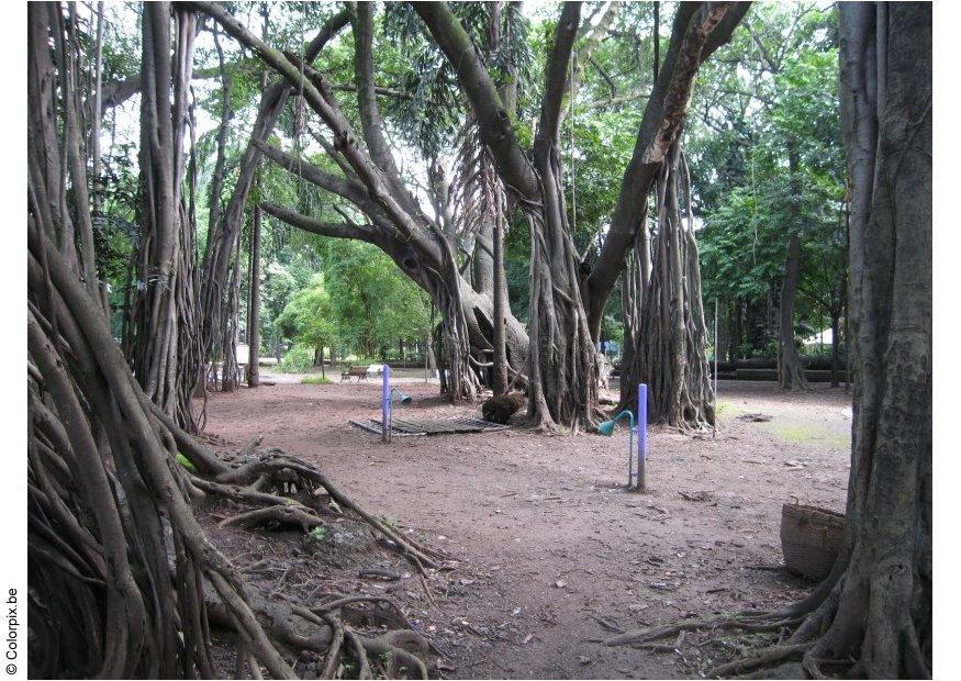 park puna Foto park puna