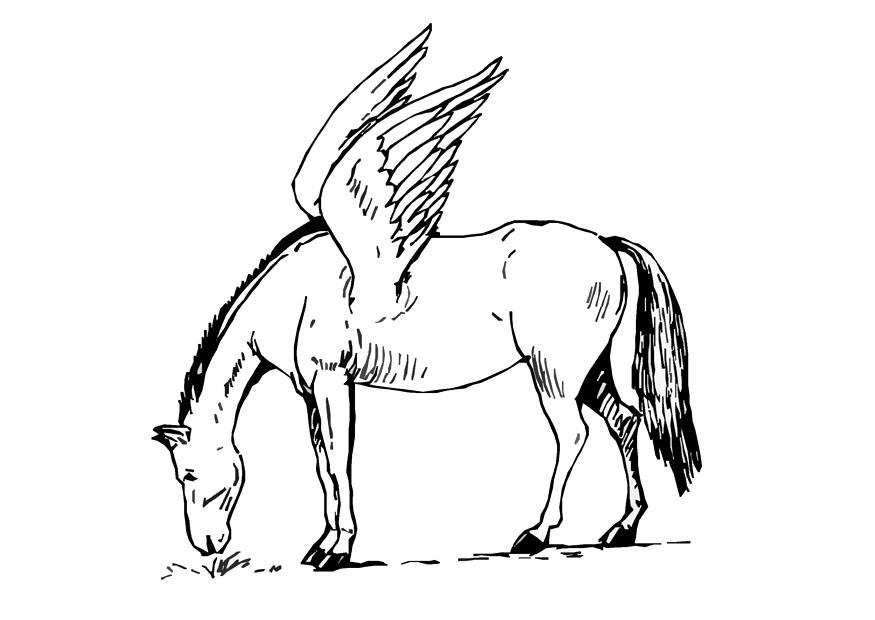 Målarbild pegas