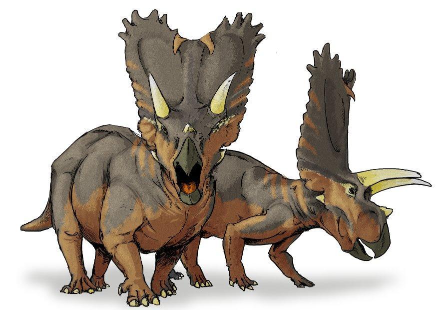 pentaceratops dinosaurie bild pentaceratops dinosaurie
