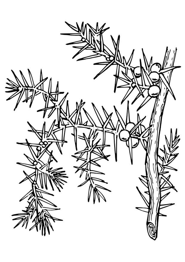 planta Målarbild planta