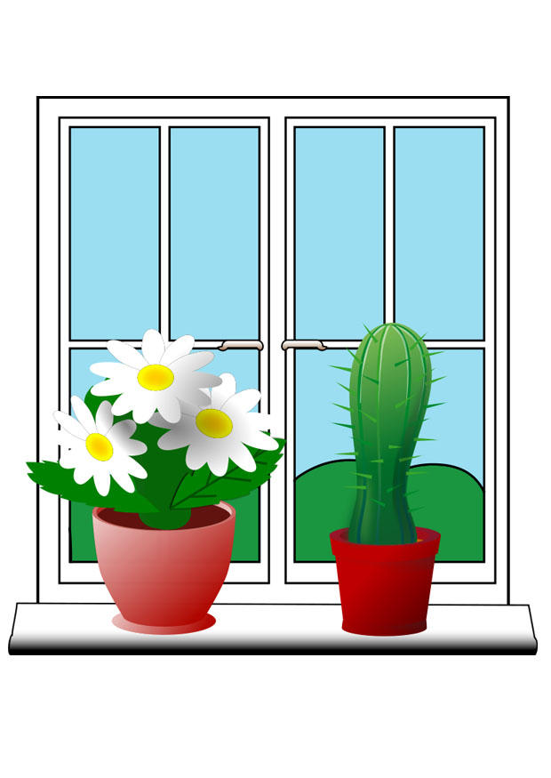 plantor bild plantor