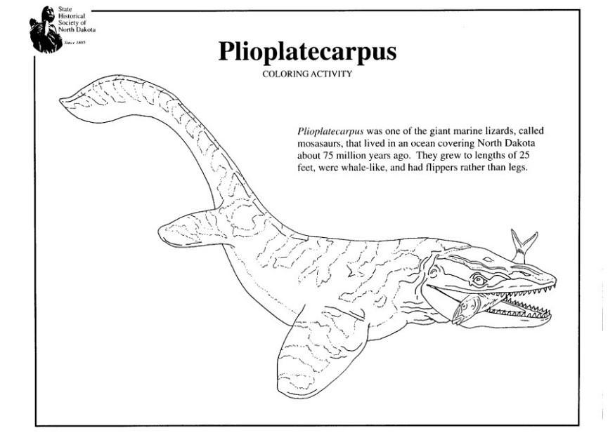 plioplatecarpus Målarbild plioplatecarpus