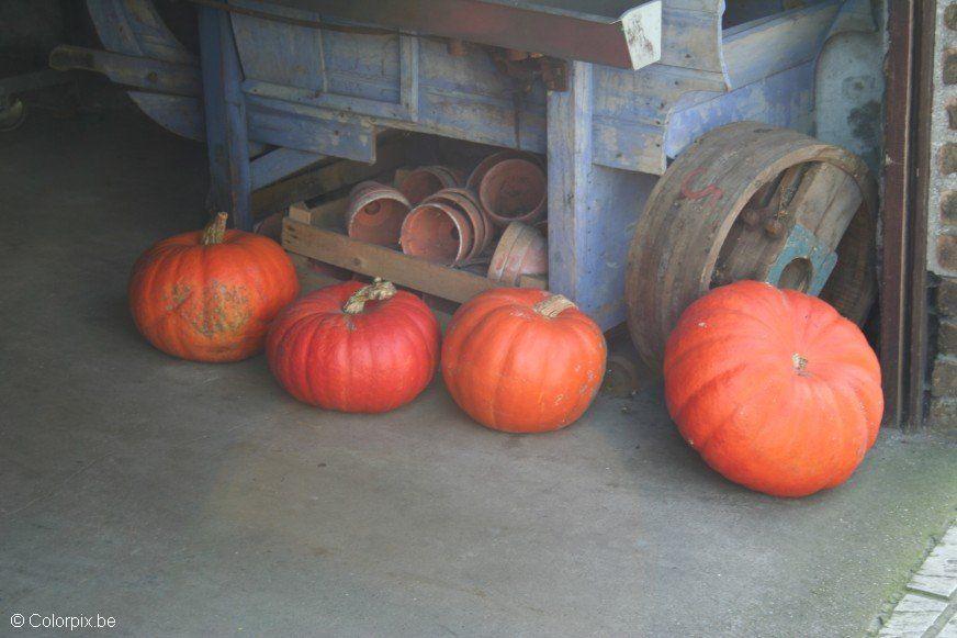 pumpor Foto pumpor