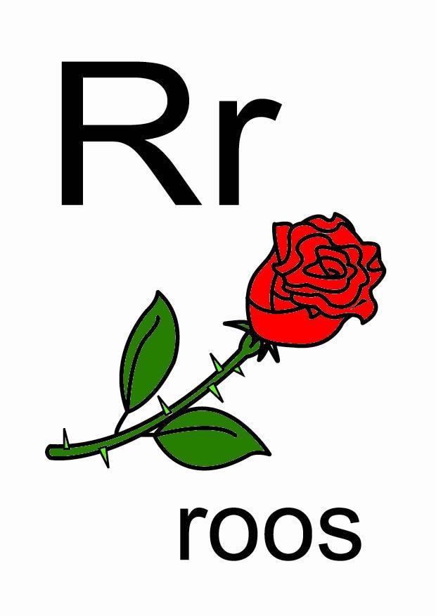 r bild r