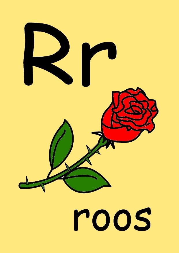 r bild r