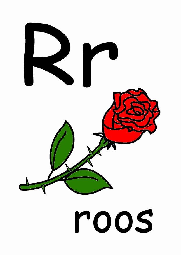 r bild r