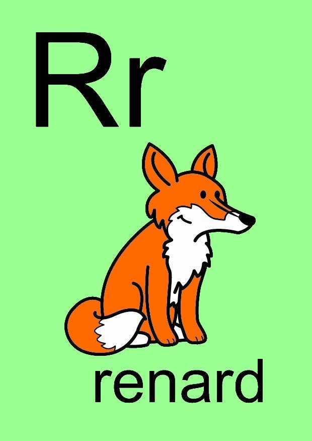 r bild r