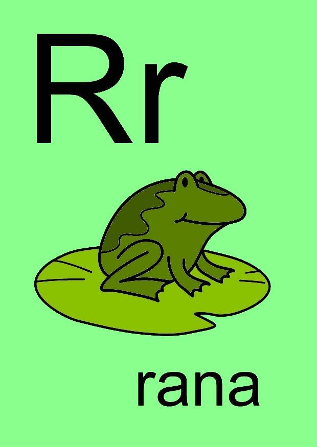 r bild r