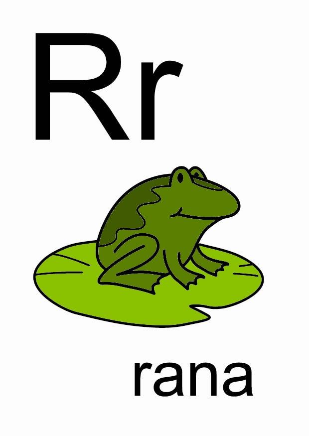 r bild r