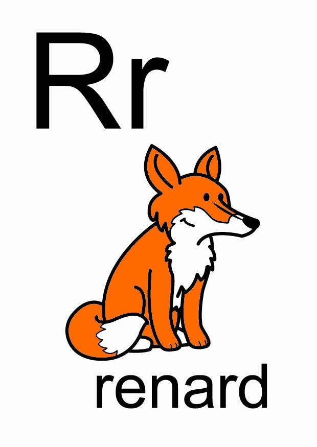 r bild r