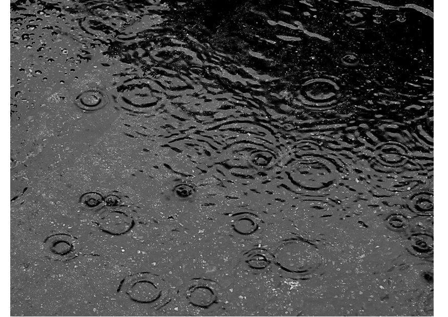 regn Foto regn