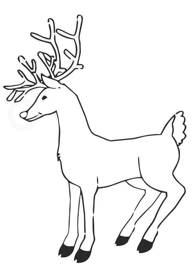 ren Målarbild ren