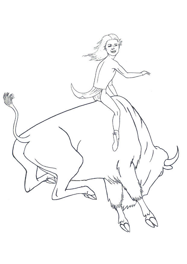 rodeo pA¥ bisonoxe Målarbild rodeo pA¥ bisonoxe