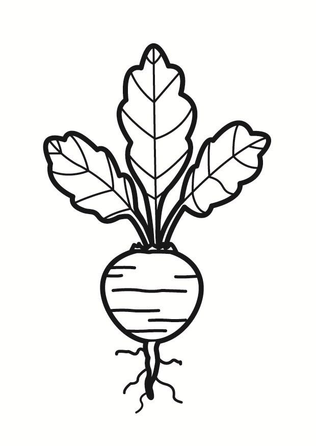Målarbild rA¶dbeta