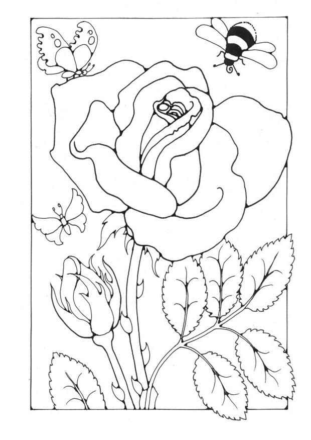 rose med bi och fjA¤ril Målarbild rose med bi och fjA¤ril
