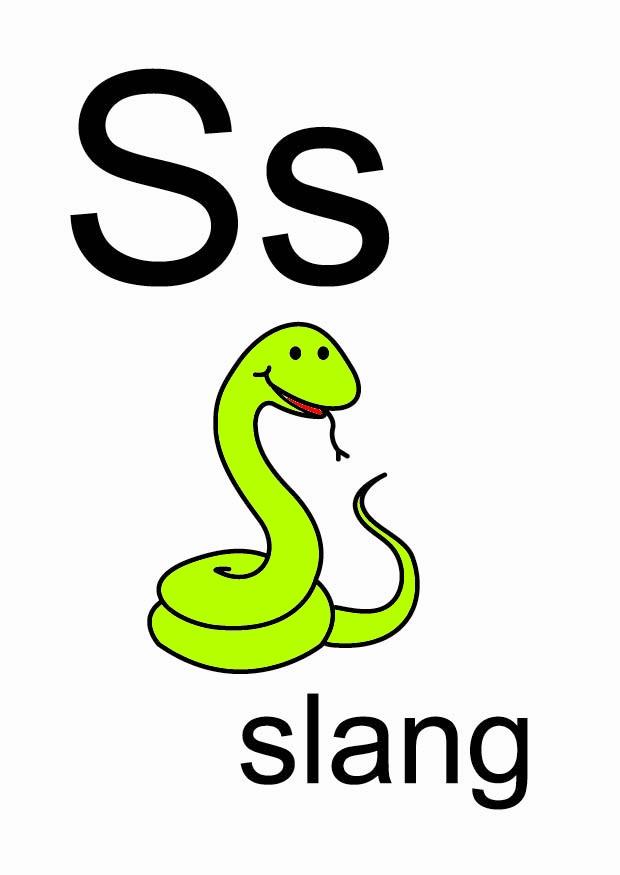 s bild s