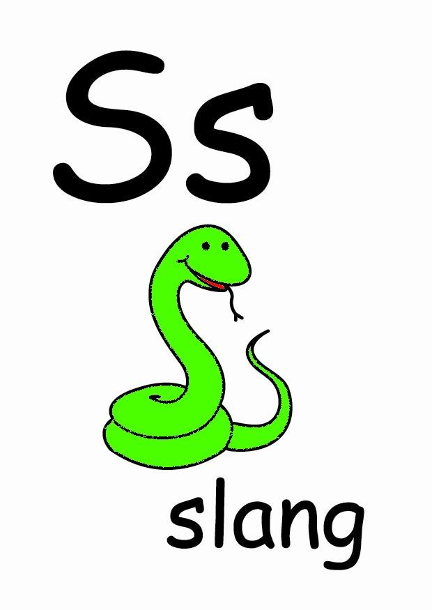 s bild s