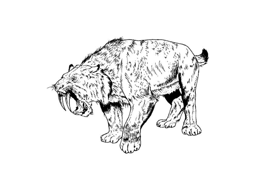 sabeltandad tiger Målarbild sabeltandad tiger