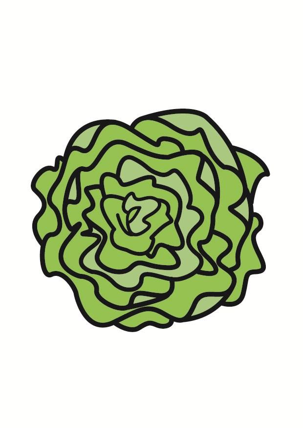 sallad bild sallad