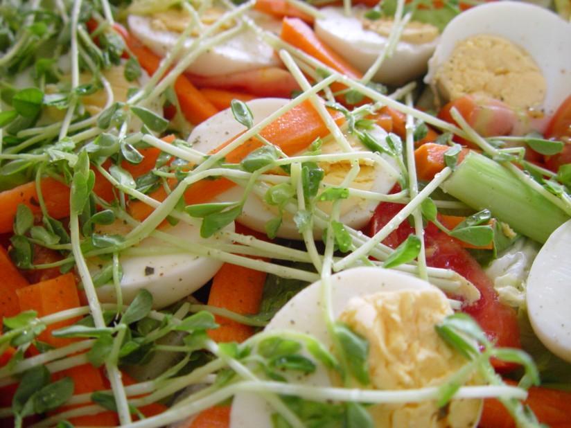 sallad Foto sallad