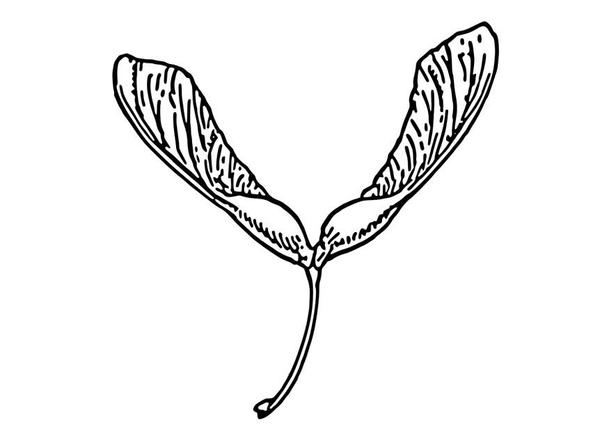 samara Målarbild samara