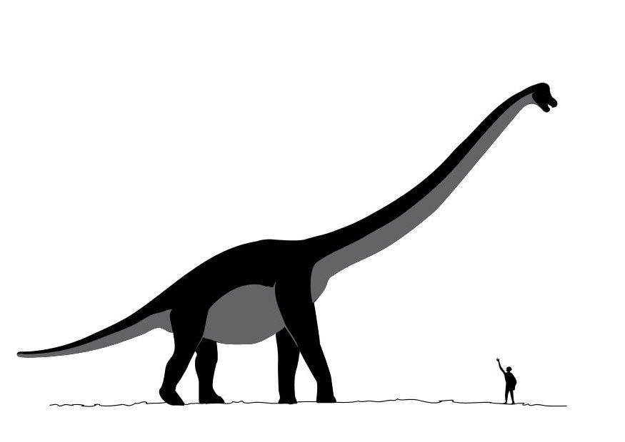 sauroposeidon Målarbild sauroposeidon