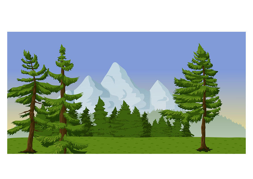 bild scenery
