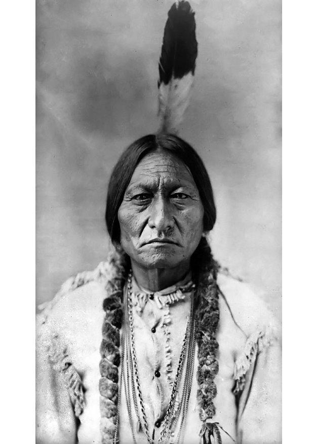 sitting bull Foto sitting bull