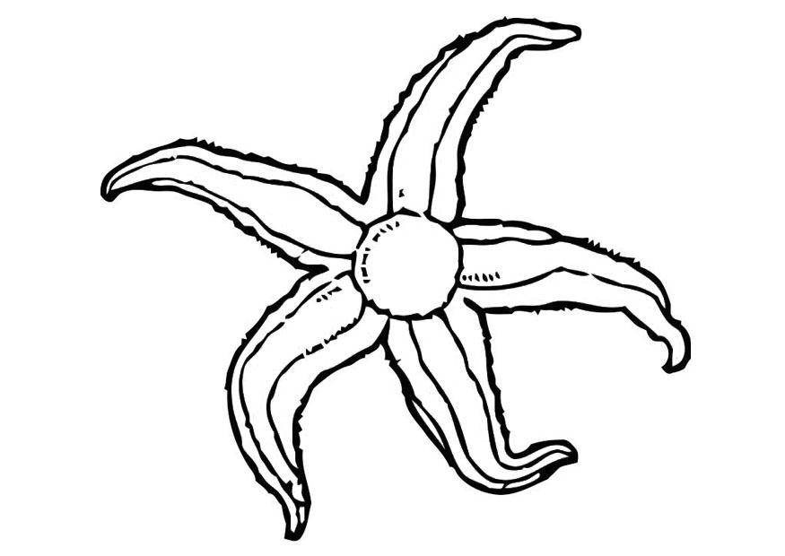 sjA¶stjA¤rna Målarbild sjA¶stjA¤rna