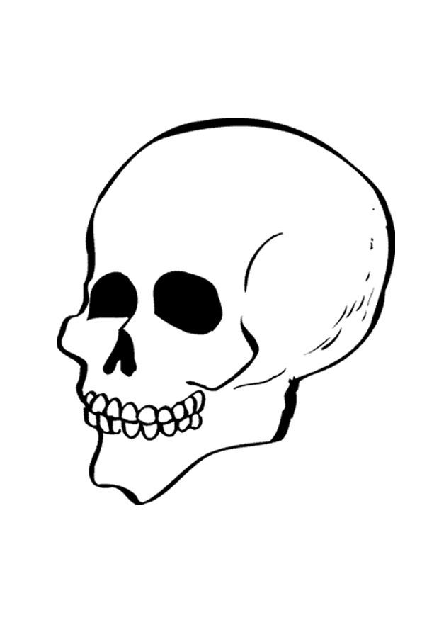 skalle Målarbild skalle