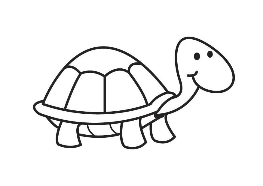 skA¶ldpadda Målarbild skA¶ldpadda