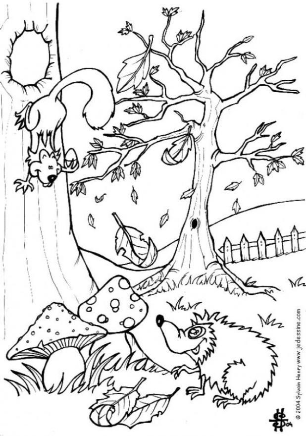 skog - igelkott och ekorre Målarbild skog - igelkott och ekorre