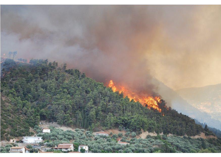 skogsbrand Foto skogsbrand