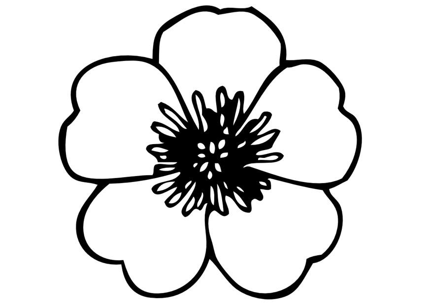 smA¶rblomma Målarbild smA¶rblomma