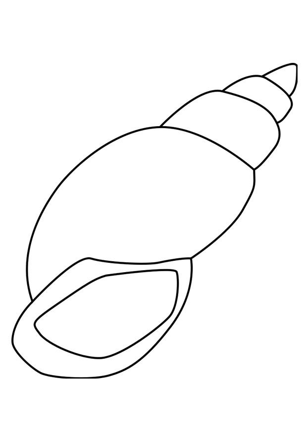 snA¤ckskal Målarbild snA¤ckskal