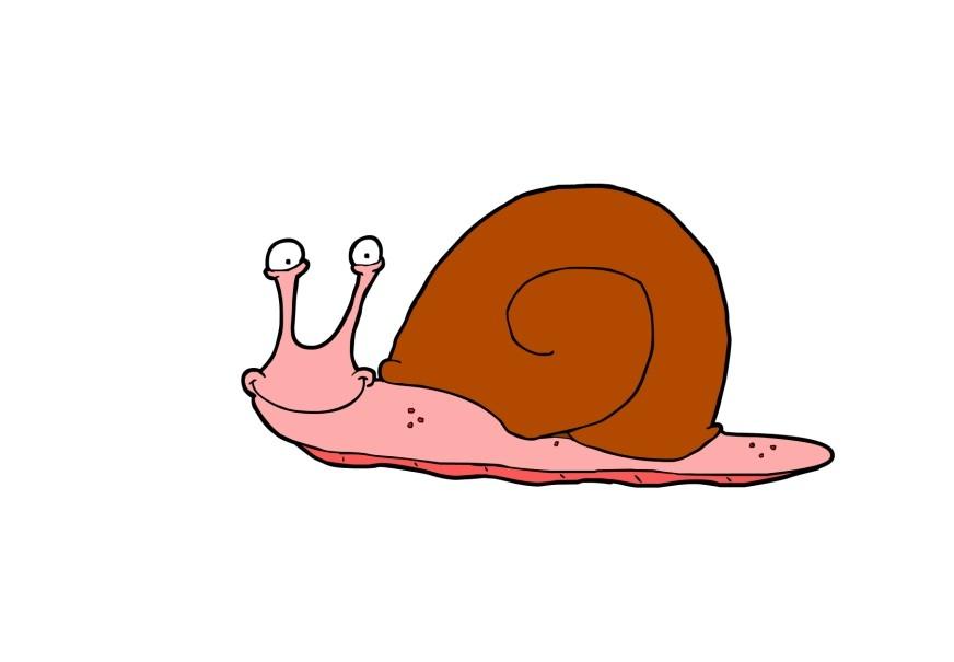 snigel bild snigel