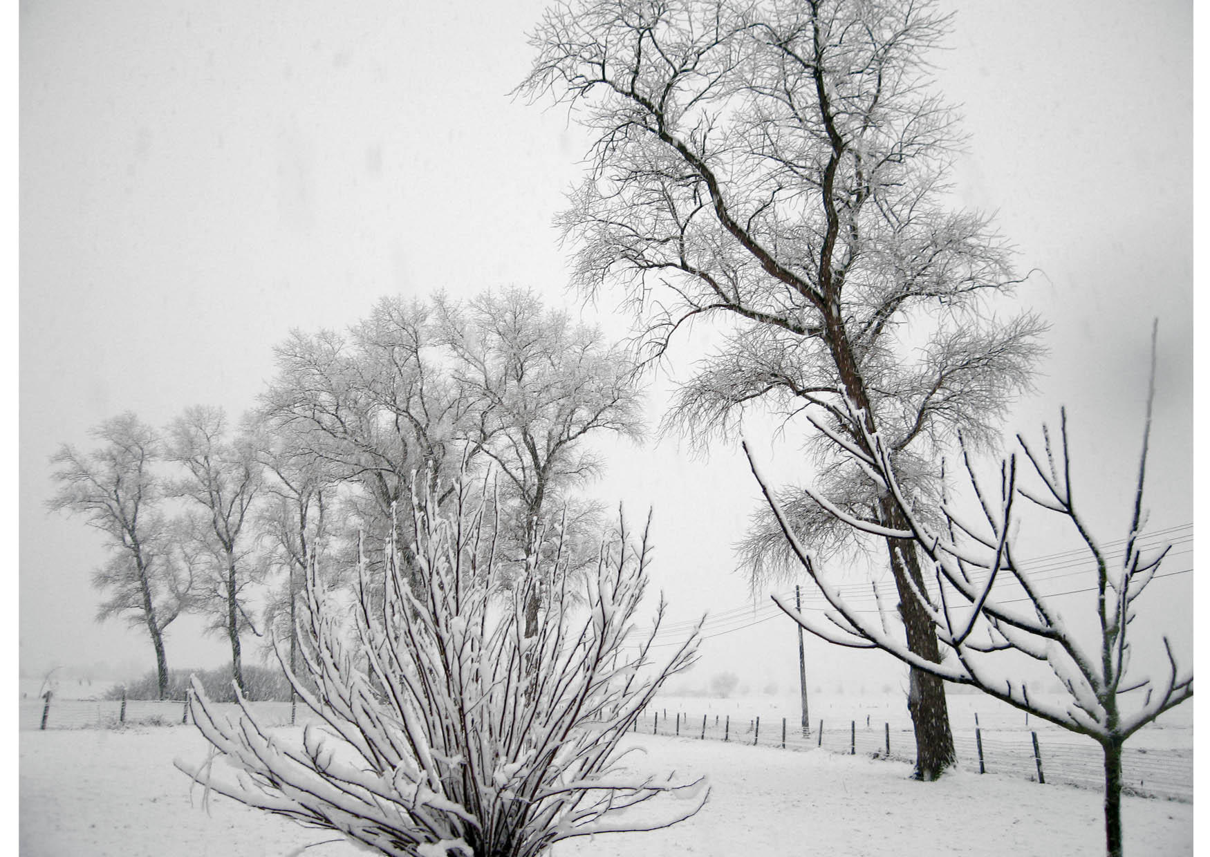 snA¶ - vinterlandskap Foto snA¶ - vinterlandskap