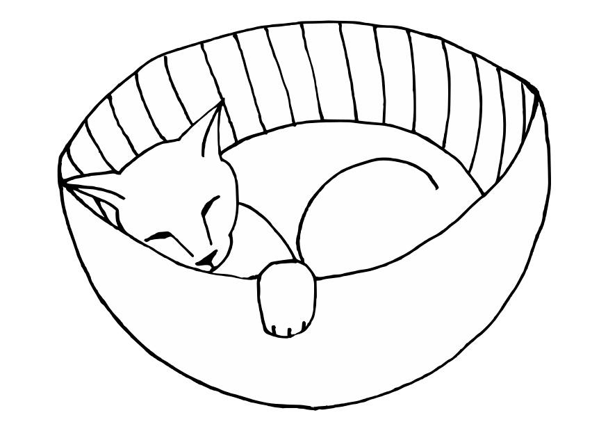 sovande kissekatt Målarbild sovande kissekatt