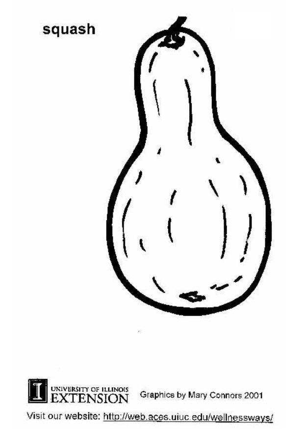 squash Målarbild squash