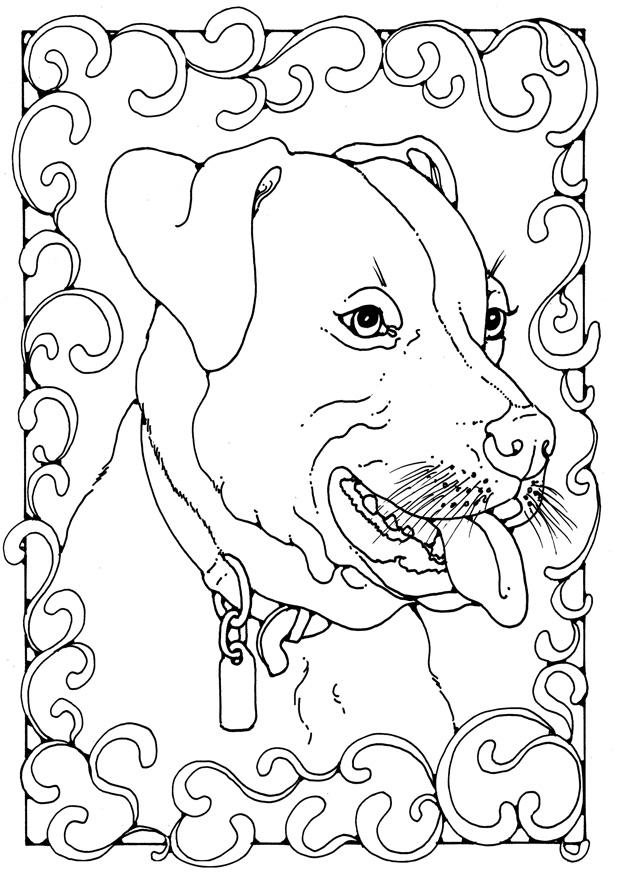 staffordshire bull terrier Målarbild staffordshire bull terrier